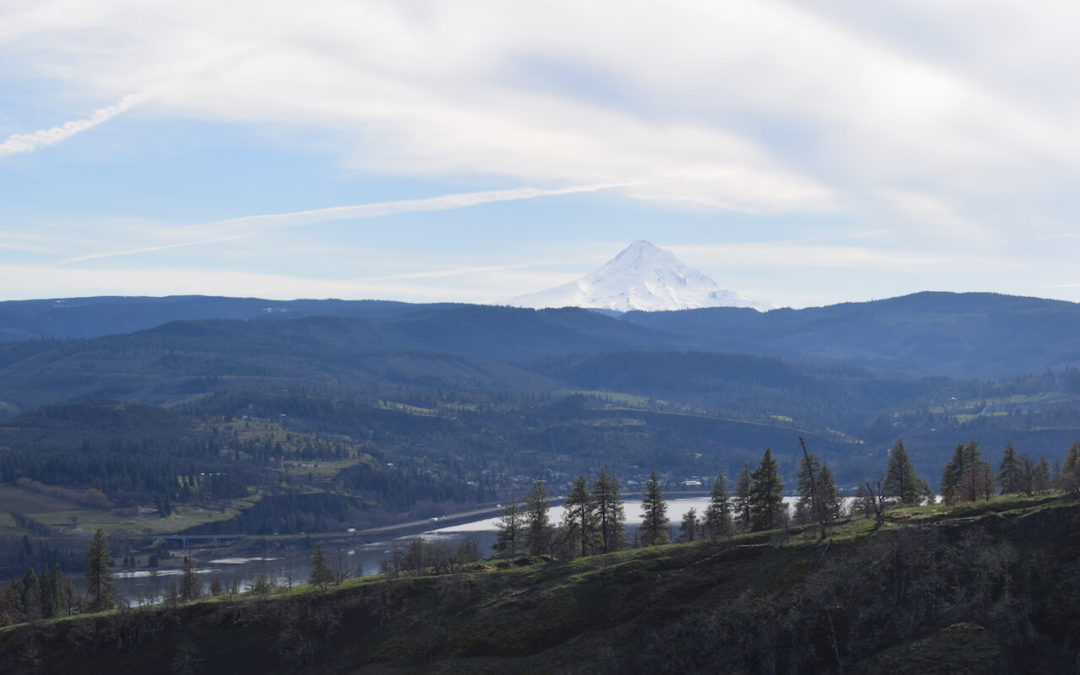 Day Hiking Catherine Creek Trail – Upper and Lower