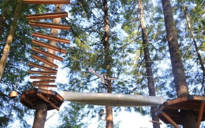 Tree-Top Adventures